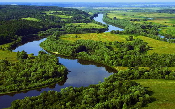 Чернігівщина туристична: екскурсія сіверським краєм (Фото)