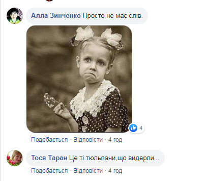 Фейсбучна тема дня: “тюльпанні” злодії