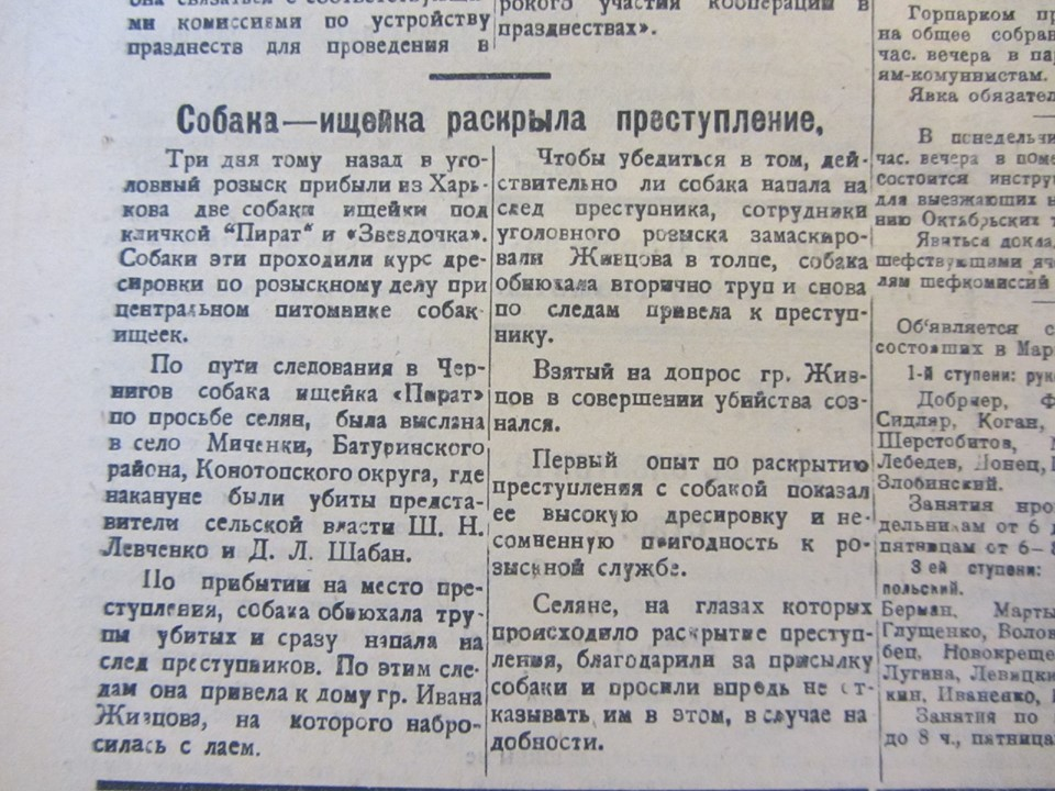 Неймовірна історія Чернігівщини: собаче розслідування на Батуринщині