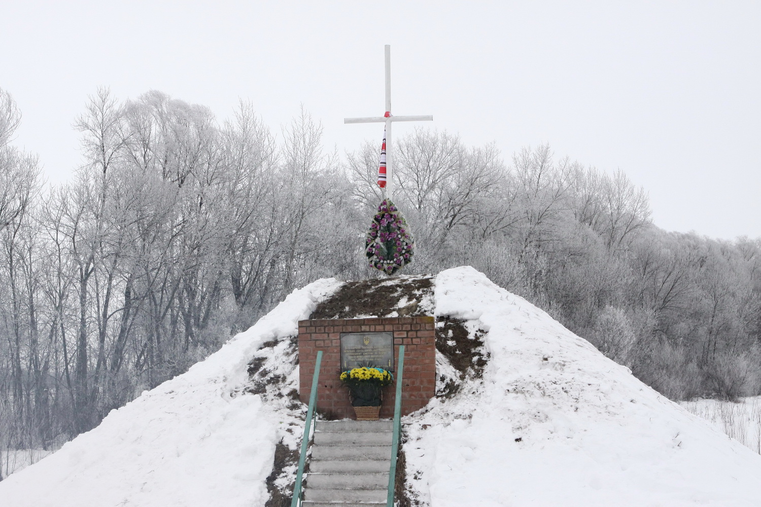 Потяг єднання прибув у Крути для відзначення 100-річчя бою (Фото)