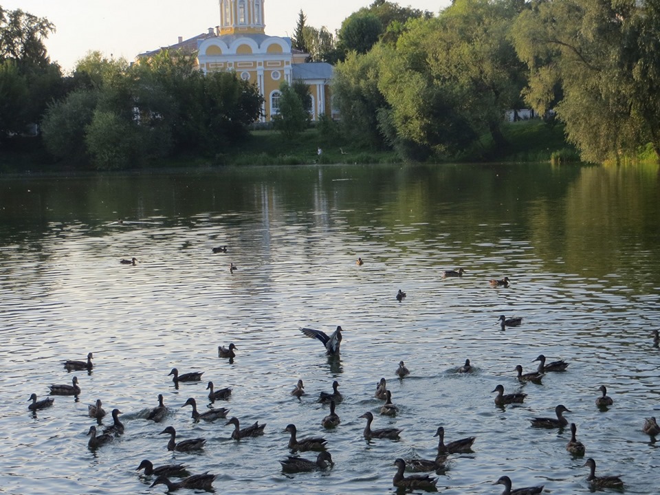 Результати фотоконкурсу: Десна очима фотографів Чернігівщини