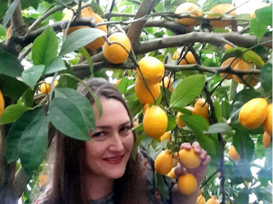 «Раньше мы выращивали цветы на продажу, а сейчас — лимоны»: жители Запорожья наладили успешный бизнес