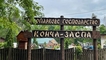 
Прокуратура поймала на взятке руководителей лесхоза "Конча-Заспа" и парка "Голосеевский"
