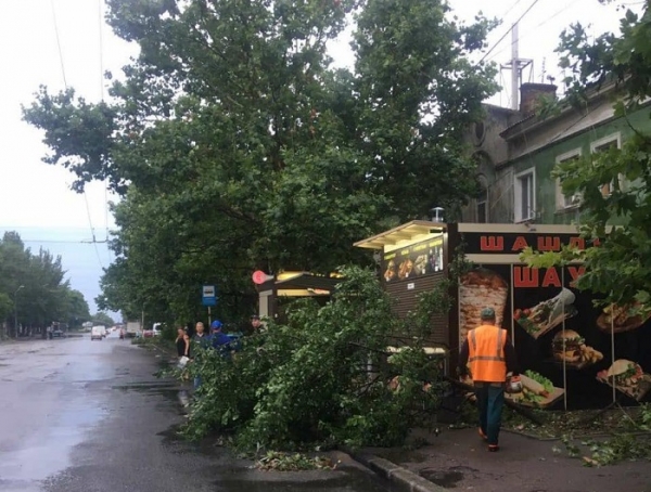 В Одессе упали более 60 деревьев, некоторые — на автомобили