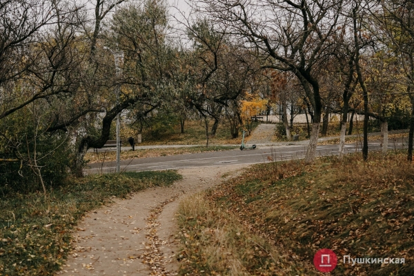 Золотая листва, море и абсолютный покой: прогулка по осенней Трассе здоровья. Фоторепортаж