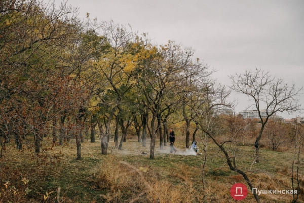 Золотая листва, море и абсолютный покой: прогулка по осенней Трассе здоровья. Фоторепортаж