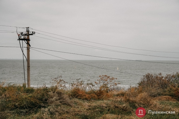 Золотая листва, море и абсолютный покой: прогулка по осенней Трассе здоровья. Фоторепортаж