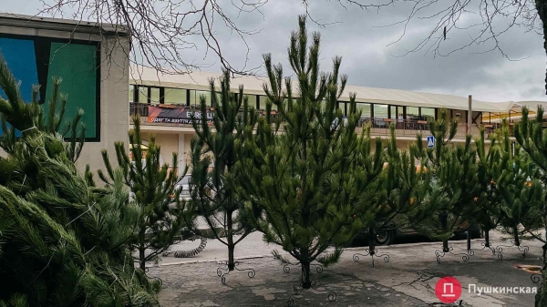 После нового года в Одессе будут менять елки на конфеты: адреса