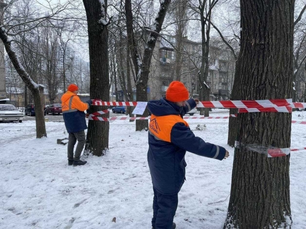 После нового года в Одессе будут менять елки на конфеты: адреса