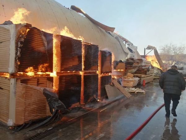 Під Києвом спалахнула пилорама: вогонь вирує на площі в 1 тисячу квадратних метрів
