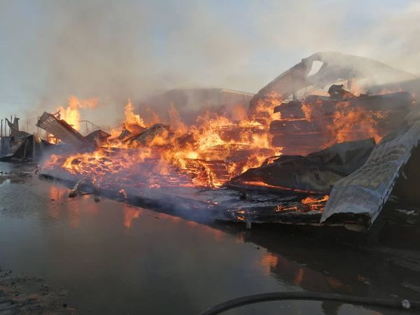 Під Києвом спалахнула пилорама: вогонь вирує на площі в 1 тисячу квадратних метрів