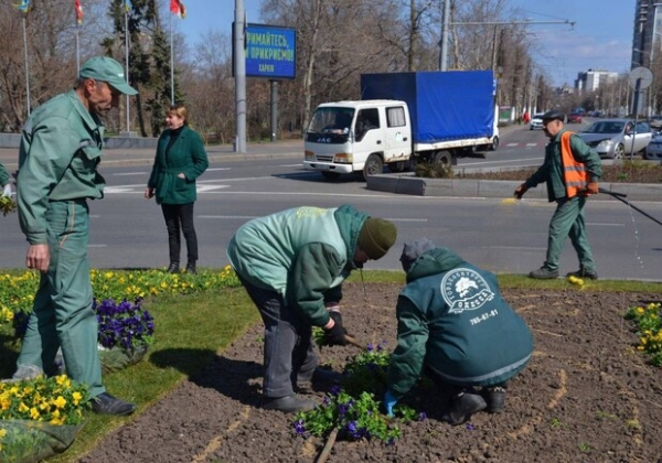 На площади 10 апреля высадили патриотические цветы 