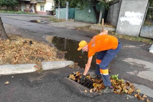 Из-за последствия ночной непогоды в Одессе попадали деревья, а в области пропал свет