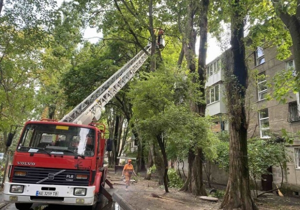 Из-за последствия ночной непогоды в Одессе попадали деревья, а в области пропал свет