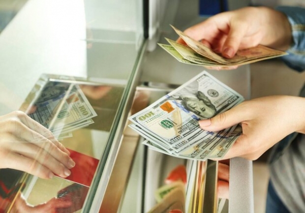 Курс валют в Украине 31 августа 2022: сколько стоит доллар и евро