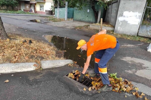 Из-за последствия ночной непогоды в Одессе попадали деревья, а в области пропал свет