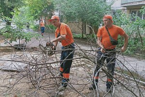 Из-за последствия ночной непогоды в Одессе попадали деревья, а в области пропал свет