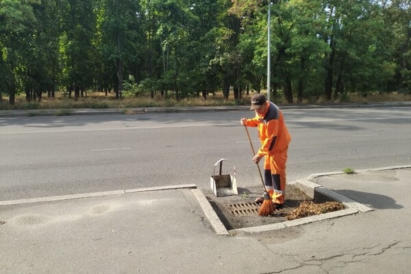 Из-за последствия ночной непогоды в Одессе попадали деревья, а в области пропал свет