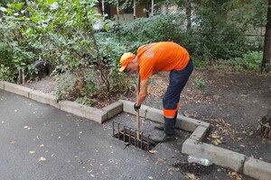 Из-за последствия ночной непогоды в Одессе попадали деревья, а в области пропал свет