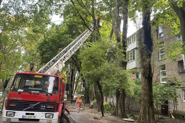 Из-за последствия ночной непогоды в Одессе попадали деревья, а в области пропал свет