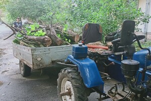 Из-за последствия ночной непогоды в Одессе попадали деревья, а в области пропал свет