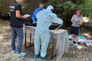 Из-за уничтожения дельфинов в Черном море открыли уголовное производство 