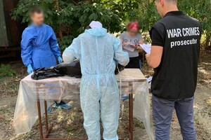 Из-за уничтожения дельфинов в Черном море открыли уголовное производство 