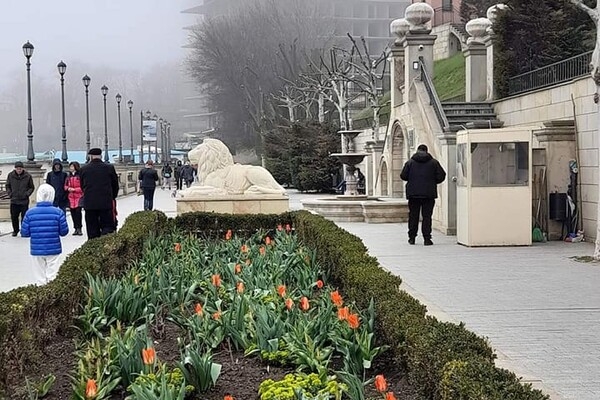 Апрельский туман в Одессе: смотри, как это красиво