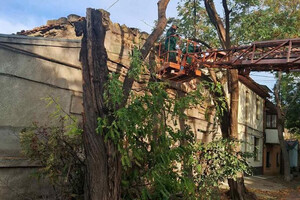 Ветер в Одессе повалил 71 дерево в Одессе