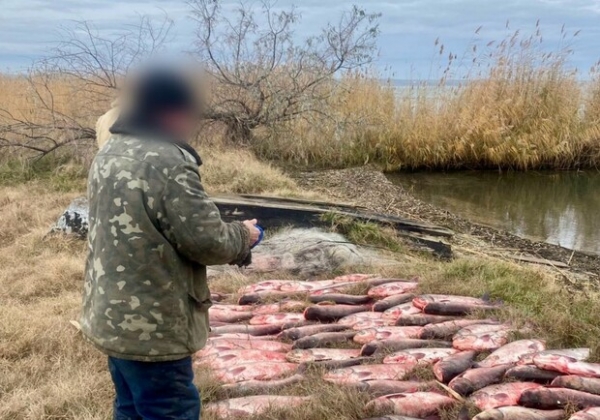 Выловил рыбы на 300 тысяч гривен: в Одесской области задержали браконьера