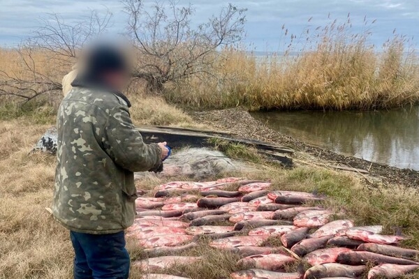 Выловил рыбы на 300 тысяч гривен: в Одесской области задержали браконьера