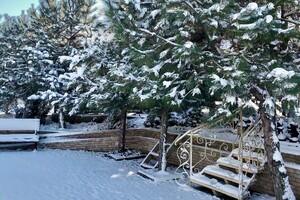 Места для отдыха в Одесской области, куда можно поехать этой зимой: цены 2024 года