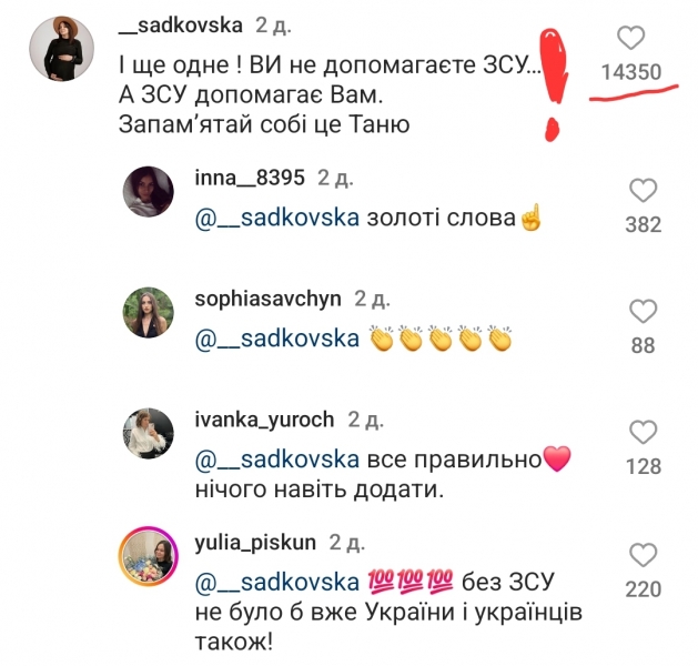 «Вміють вигадати, перекрутити, додумати»: чому вибачення блогерки Пренткович та її чоловіка-волонтера нещирі