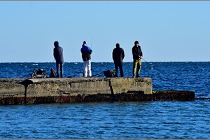 Белоснежный лебедь, купающиеся люди и рыбаки: воскресная прогулка на Ланжероне 