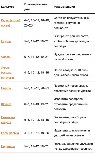 Календар городника на липень-2025: що ще не пізно посадити на ділянці і коли це краще зробити