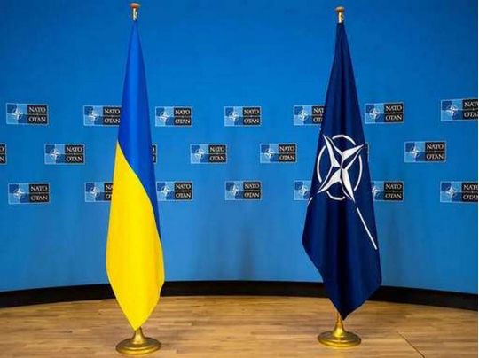 Трамп відвідає червневий саміт НАТО: чи буде там Зеленський
