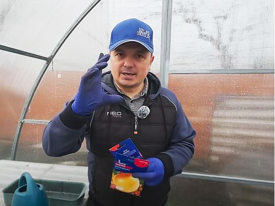 Важливий секрет для Київщини: аграрій назвав 3 сорти цибулі, які дадуть чудовий урожай